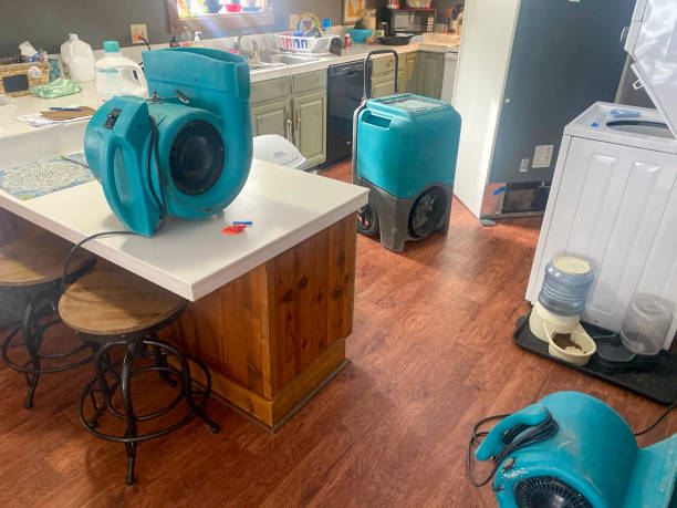 Best Water damage restoration experts  in Monticello, IL