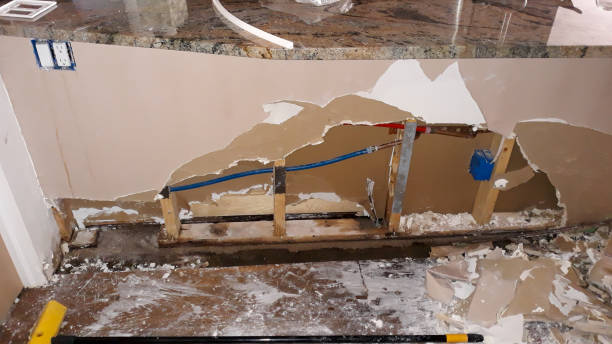 Best Water damage restoration cost  in Monticello, IL